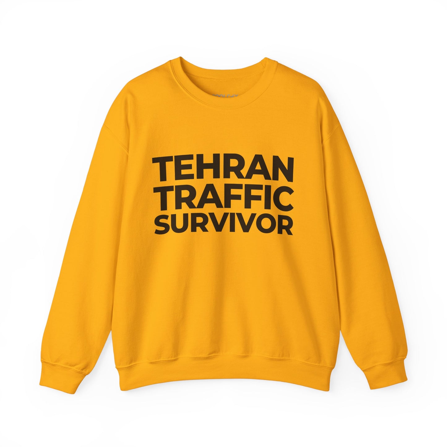 Tehran Traffic Survivor Sweatshirt