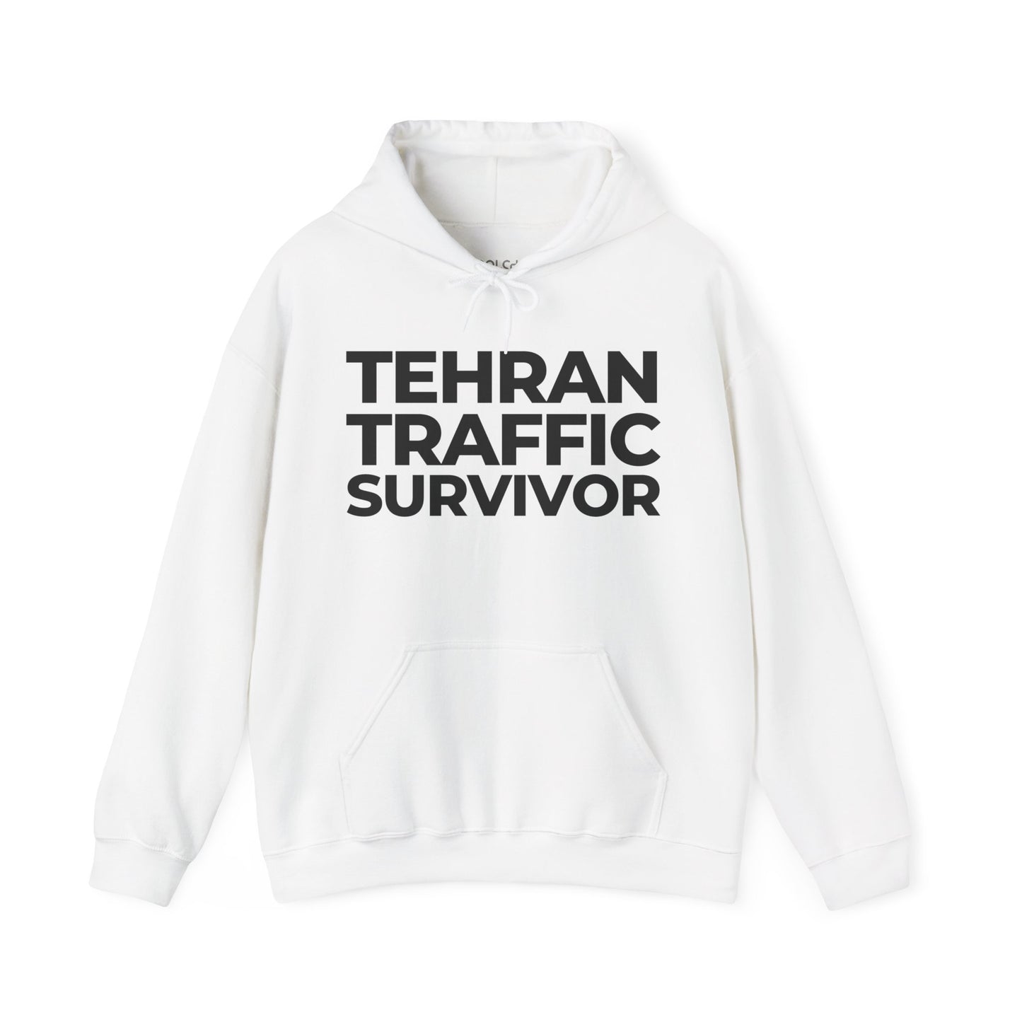 Tehran Traffic Survivor Hoodie
