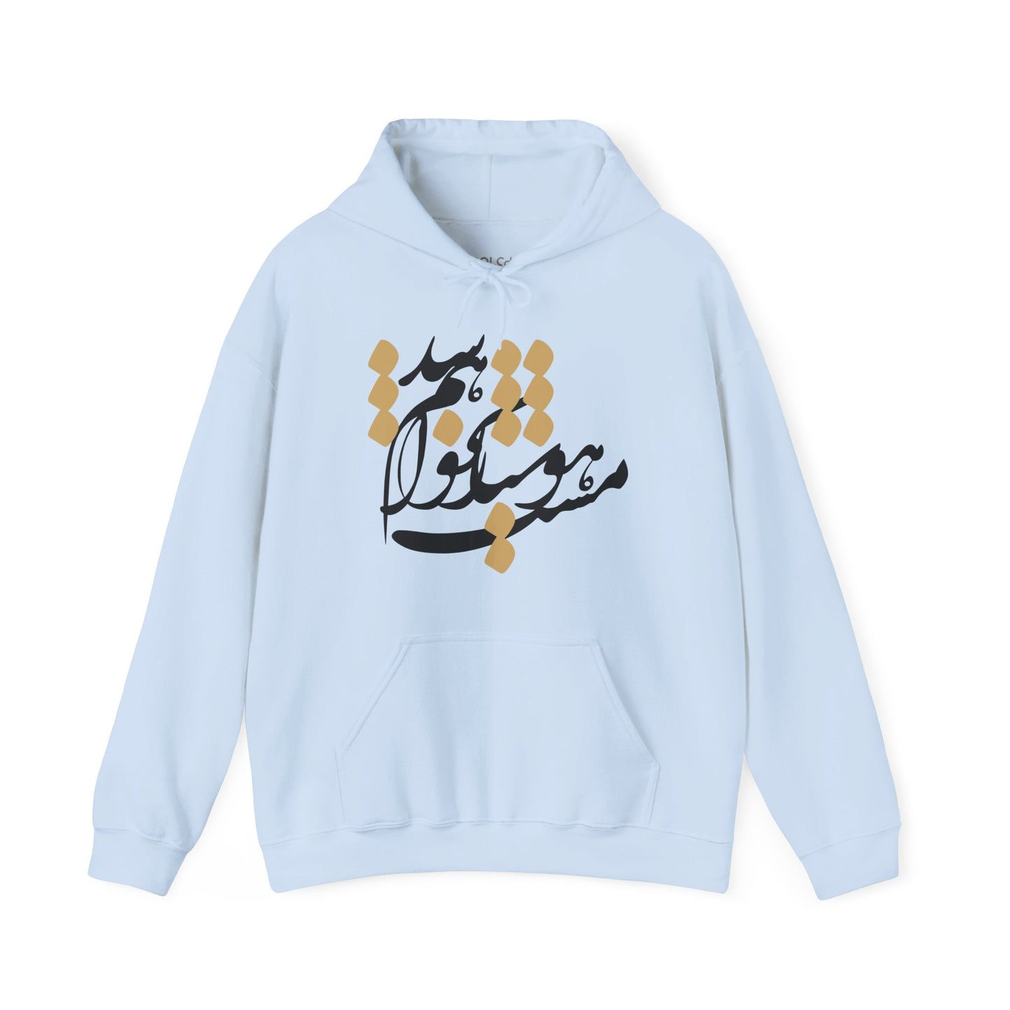 Hoshyar Nakhaham Shod Hoodie