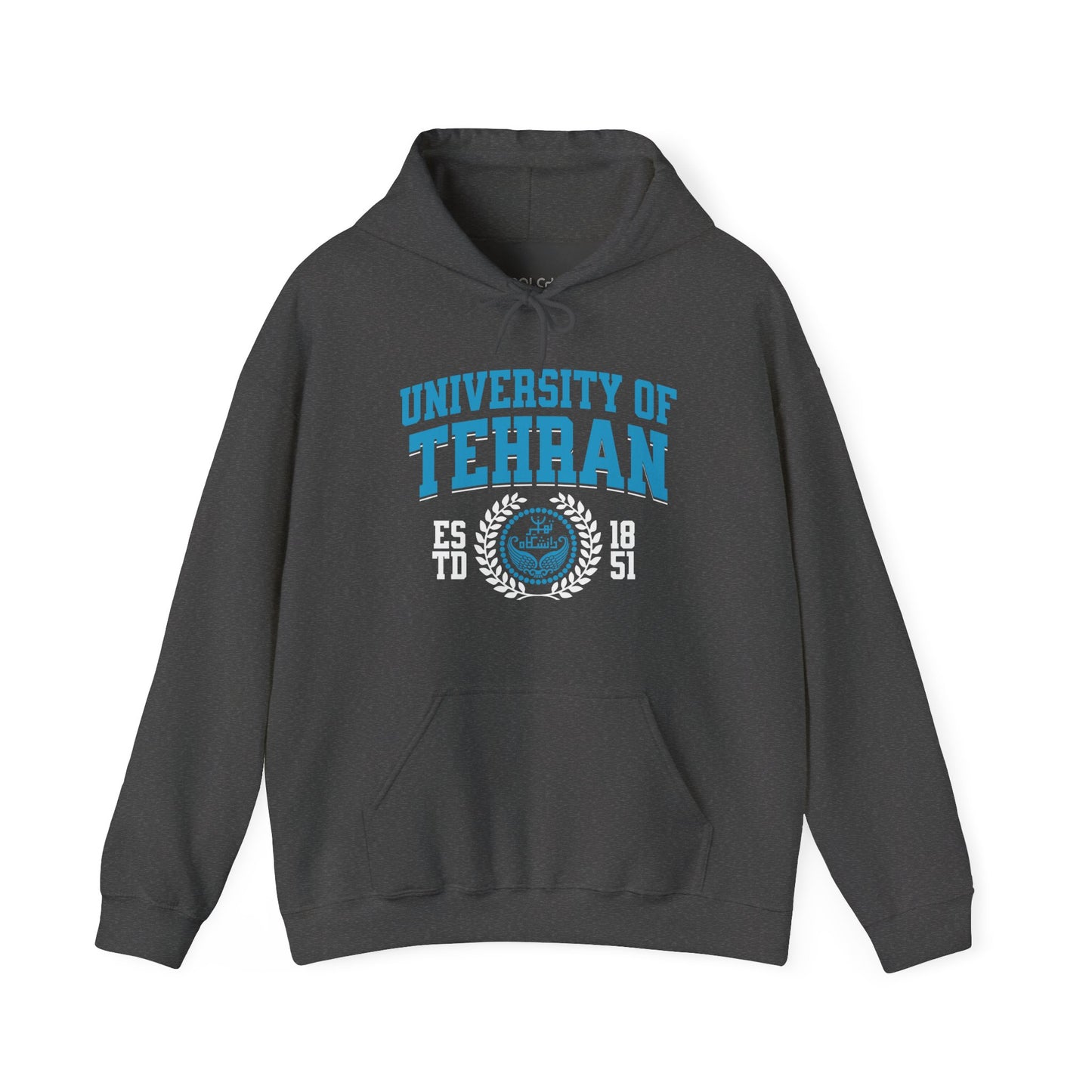 University of Tehran Hoodie
