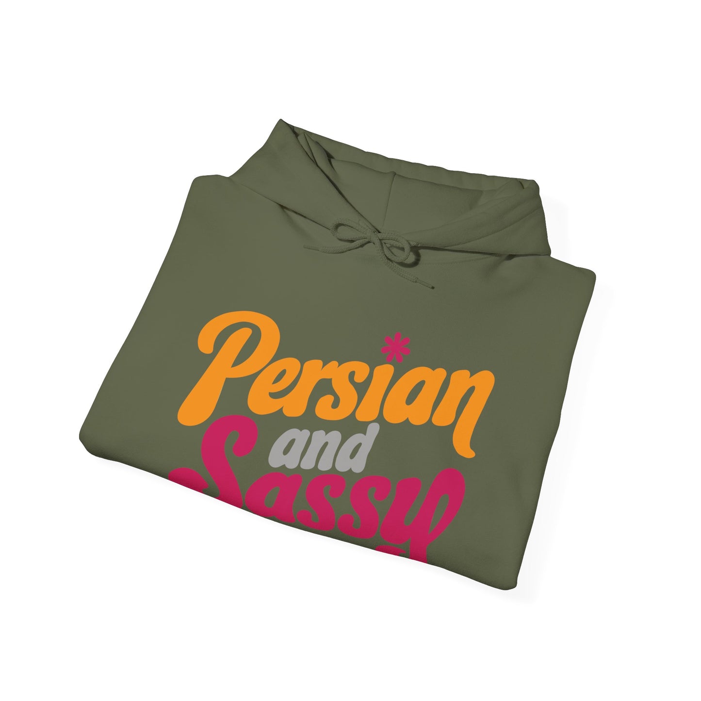 Persian and Sassy Hoodie