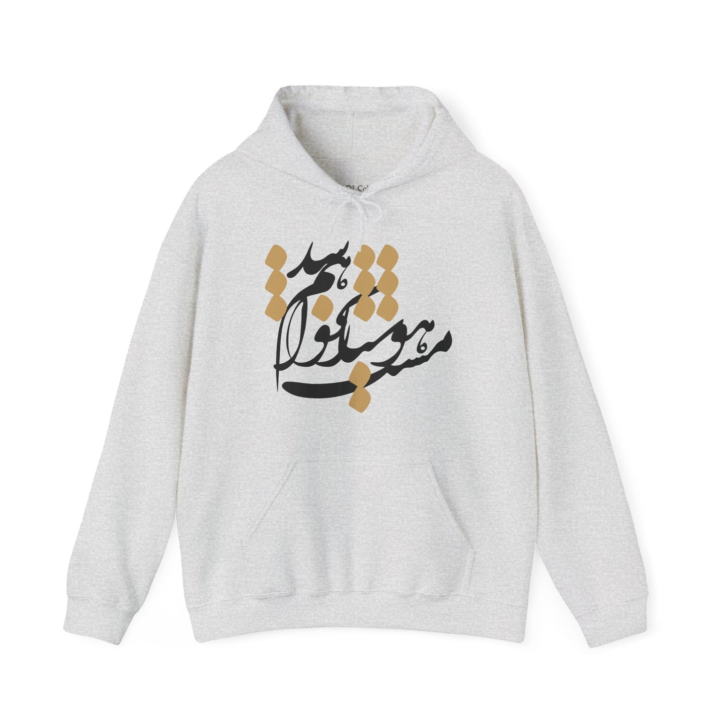 Hoshyar Nakhaham Shod Hoodie