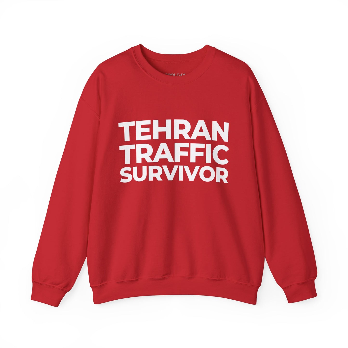 Tehran Traffic Survivor Sweatshirt