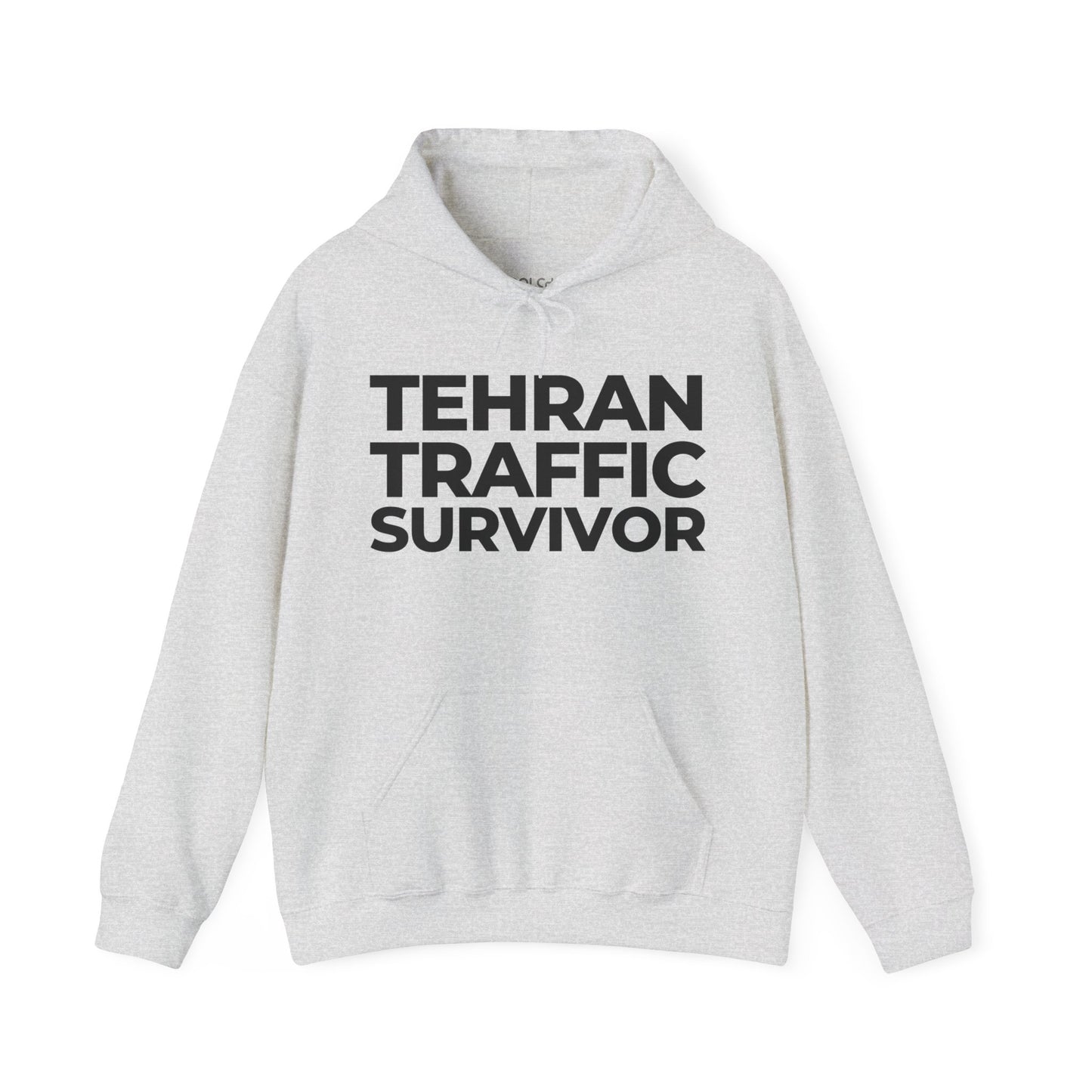 Tehran Traffic Survivor Hoodie