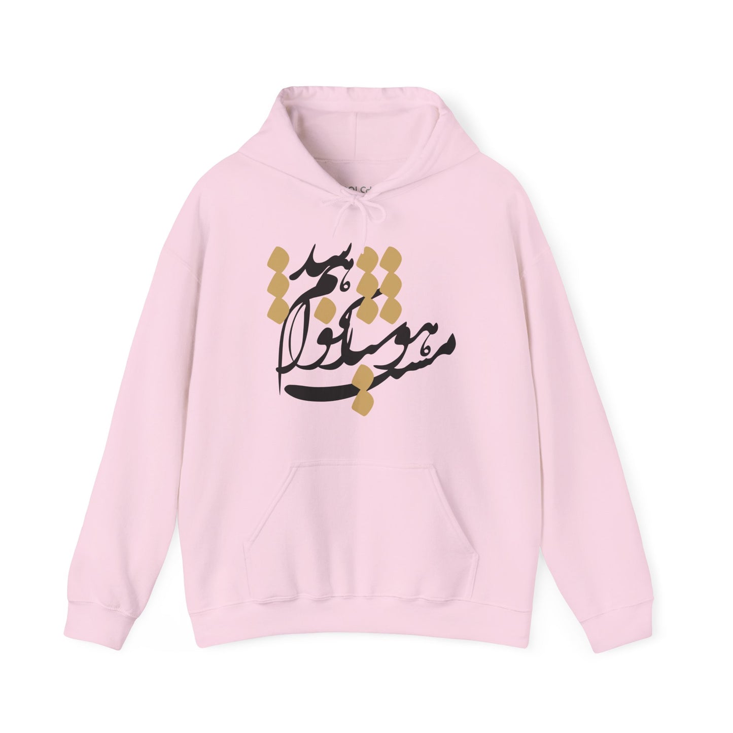 Hoshyar Nakhaham Shod Hoodie