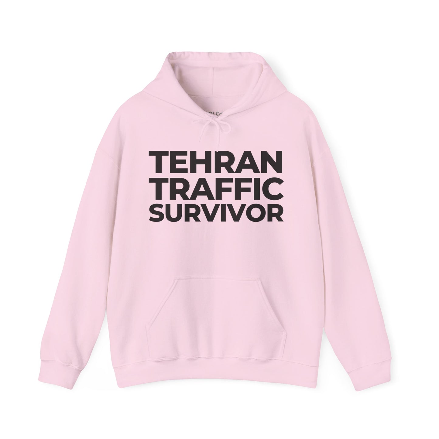 Tehran Traffic Survivor Hoodie