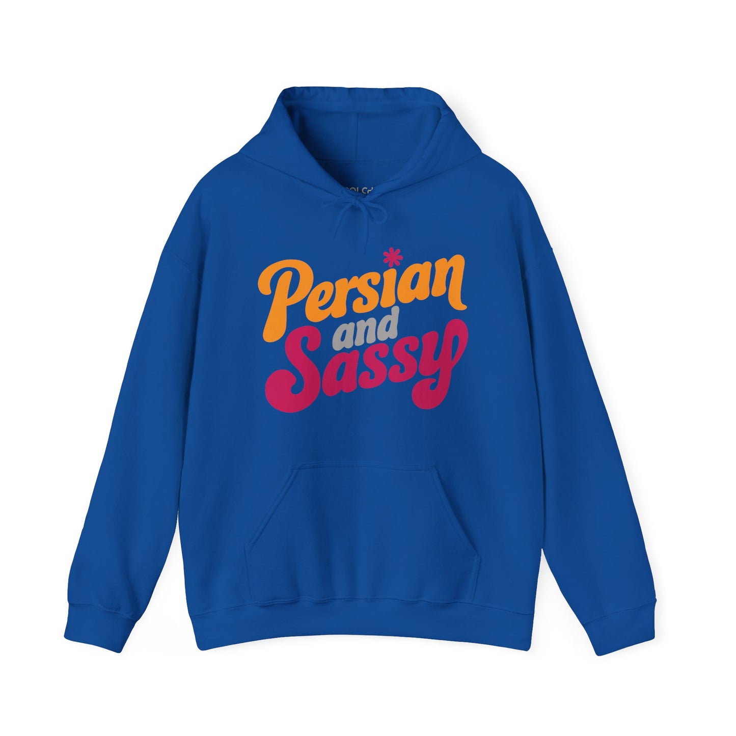 Persian and Sassy Hoodie