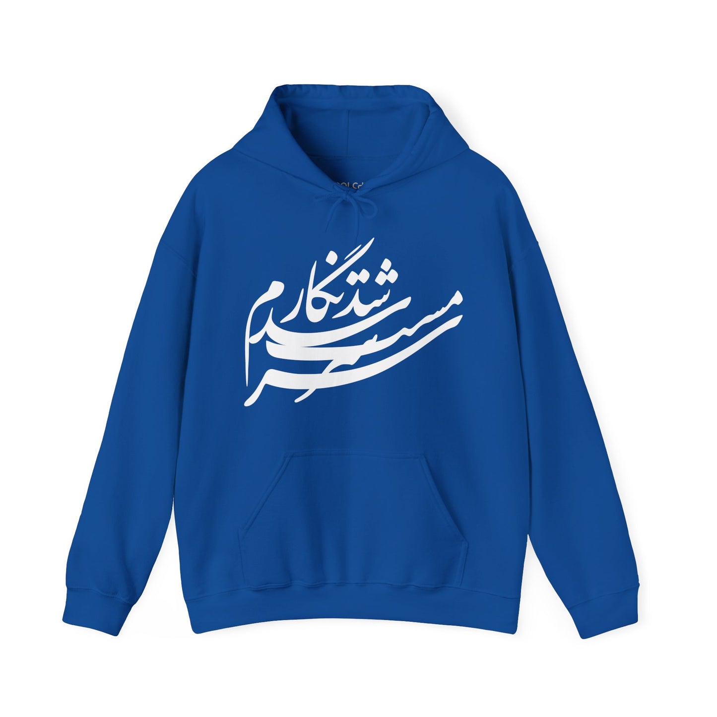 Sarmast Shod Negaram Hoodie