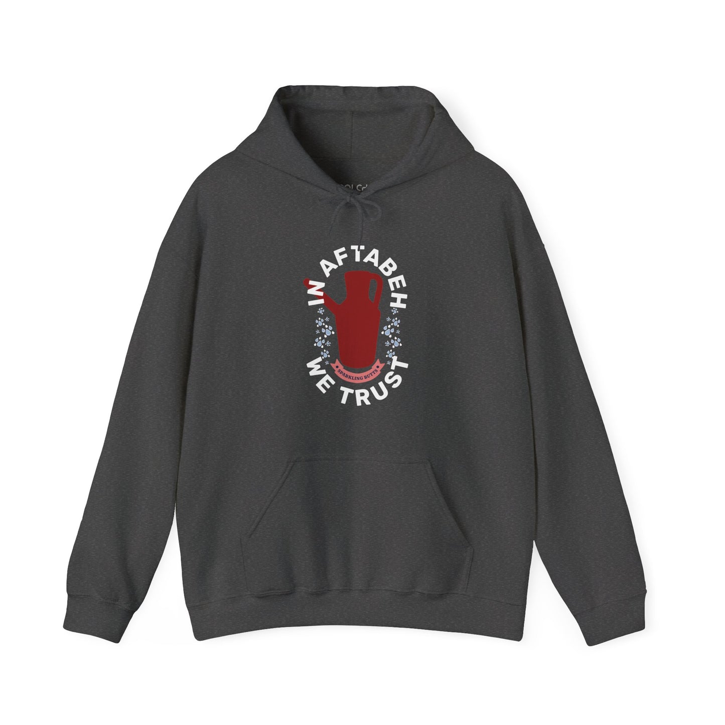 In Aftabeh We Trust Hoodie
