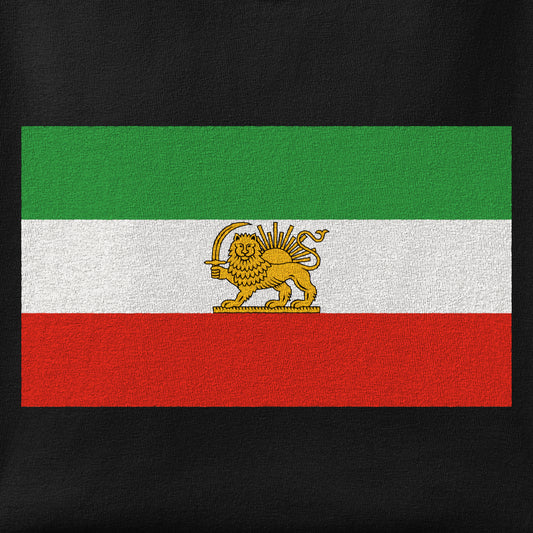 Close-up of the Shir-o-Khorshid (Lion & Sun) print showing ink detail on the fabric