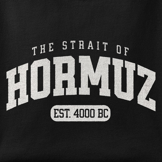 Close-up of the Strait of Hormuz Est. 4000 BC print showing ink detail on the fabric