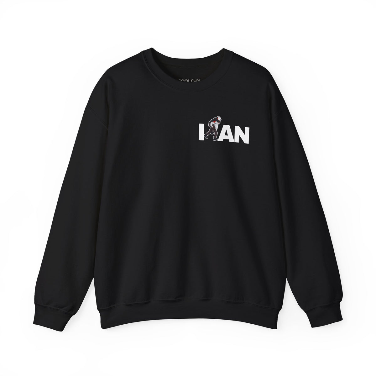 Iran's Fighter (Hamid Mahdavi) - Chest Print Sweatshirt