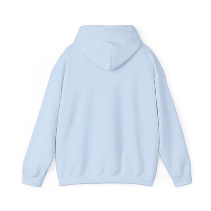 Banoo Hayedeh Hoodie