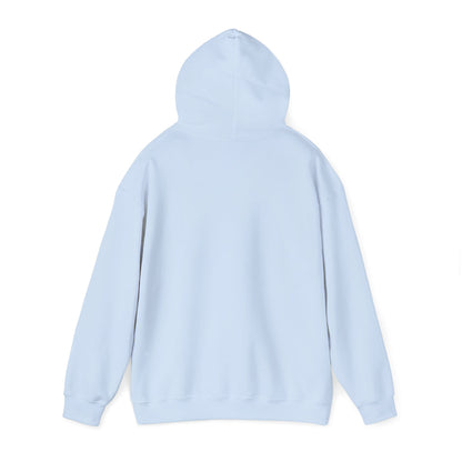 Banoo Hayedeh Hoodie