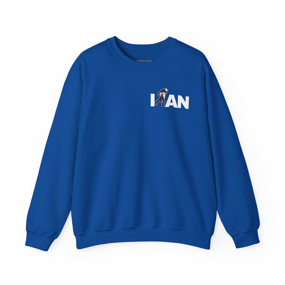 Iran's Fighter (Hamid Mahdavi) - Chest Print Sweatshirt