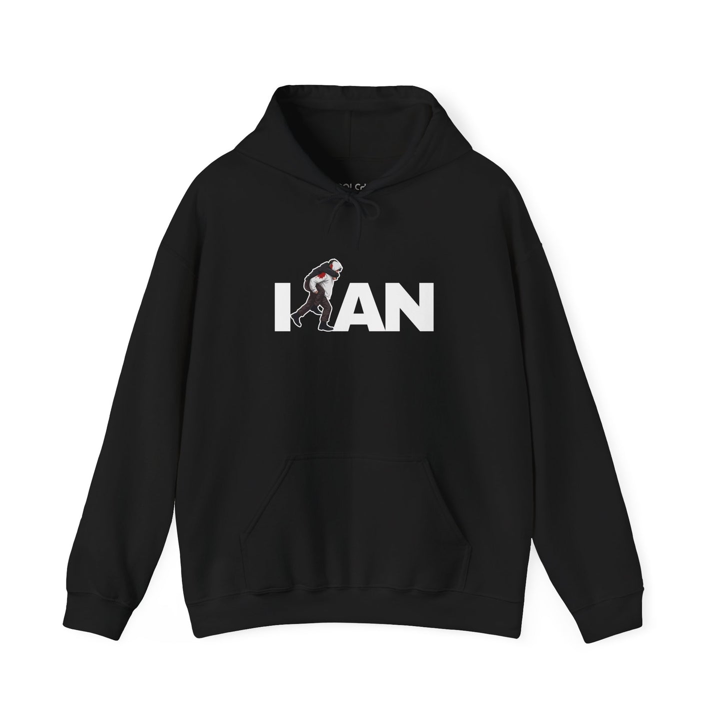 Iran's Fighter (Hamid Mahdavi) Hoodie
