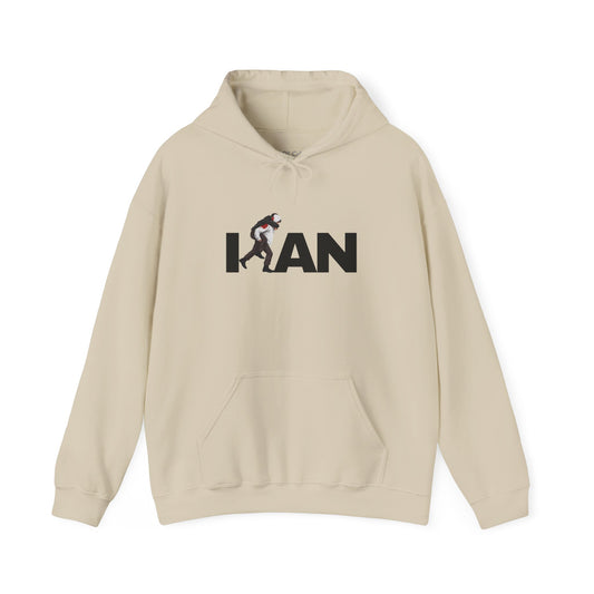 Iran's Fighter (Hamid Mahdavi) Hoodie