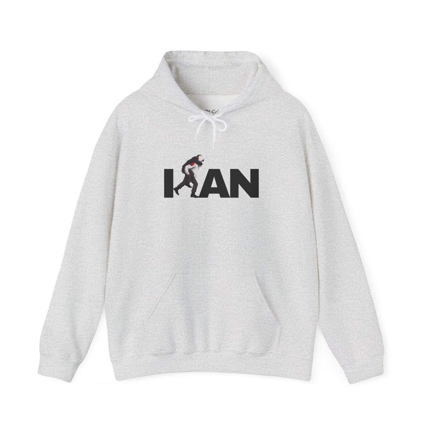 Iran's Fighter (Hamid Mahdavi) Hoodie