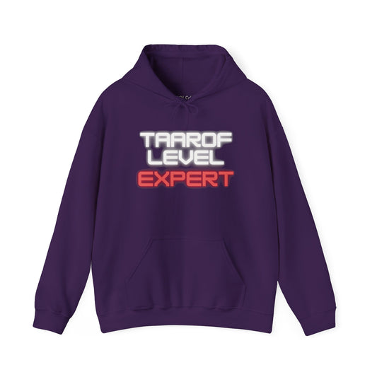 Taarof Level Expert Hoodie