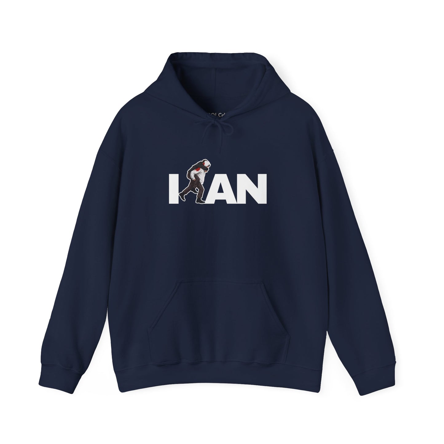 Iran's Fighter (Hamid Mahdavi) Hoodie