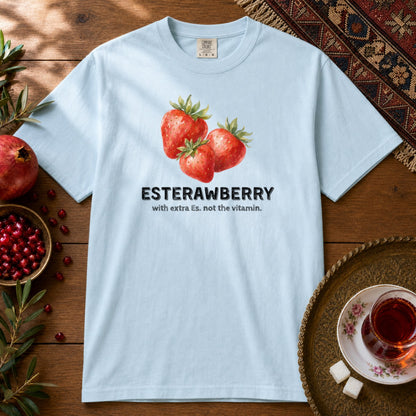 Esterawberry Premium Tee - Chambray
