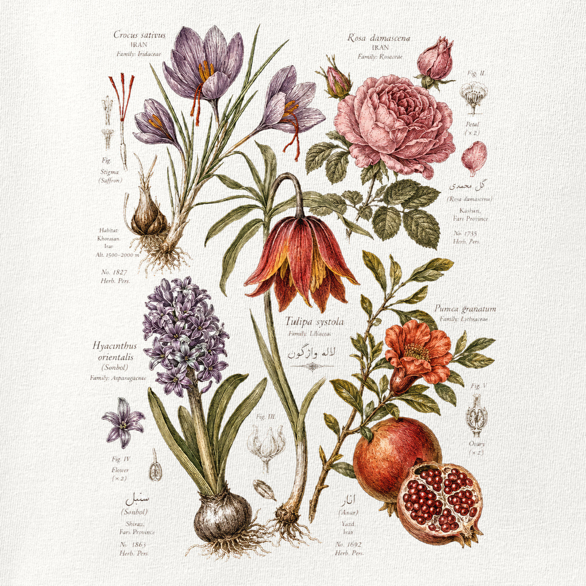 Close-up of the Flora of Iran print showing ink detail on the fabric