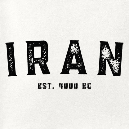 Close-up of the Iran Established 4000 BC print showing ink detail on the fabric