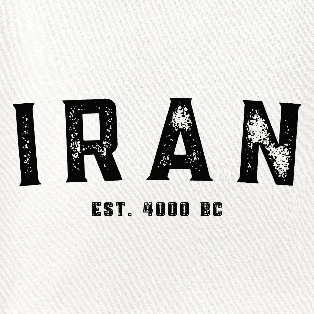 Close-up of the Iran Established 4000 BC print showing ink detail on the fabric