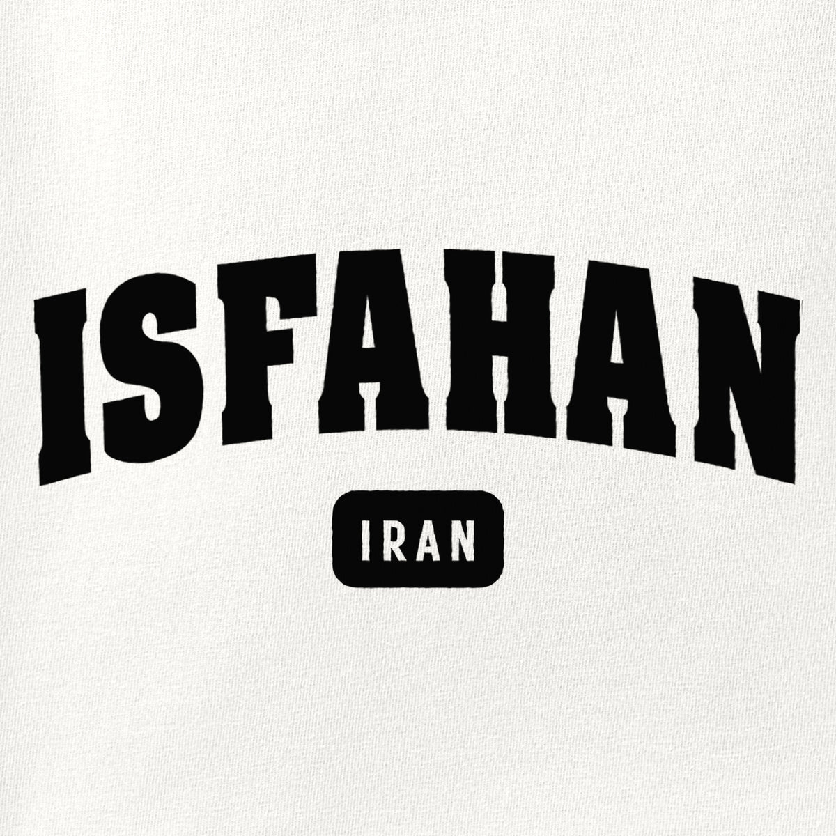 Close-up of the Isfahan print showing ink detail on the fabric