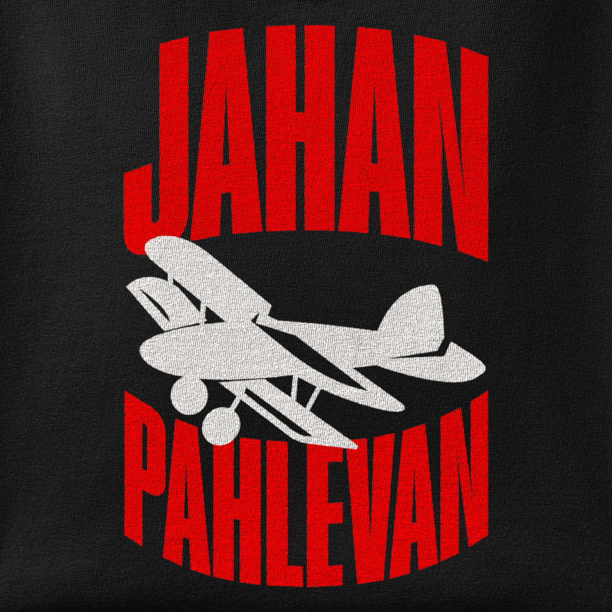 Close-up of the Jahan Pahlevan print showing ink detail on the fabric