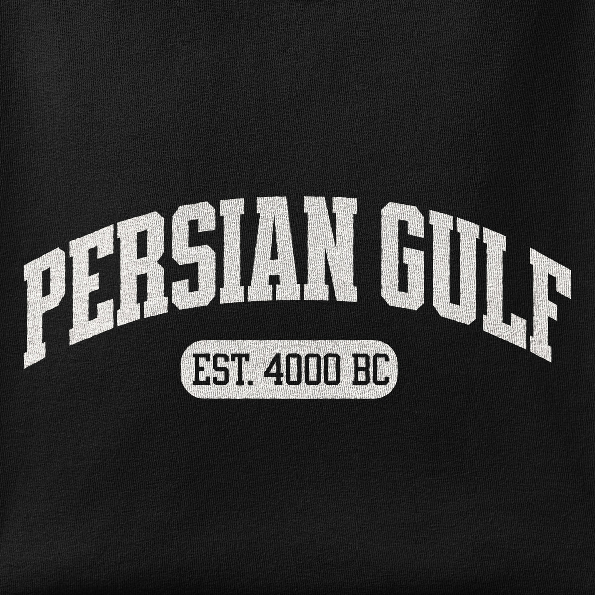 Close-up of the Persian Gulf Est. 4000 BC print showing ink detail on the fabric