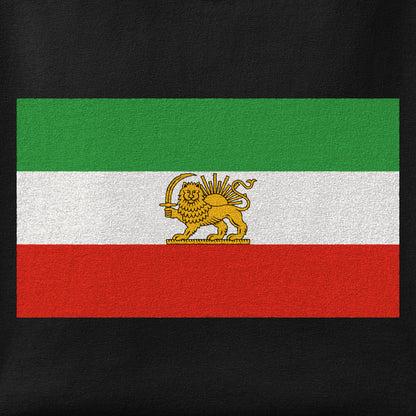 Close-up of the Shir-o-Khorshid (Lion & Sun) print showing ink detail on the fabric