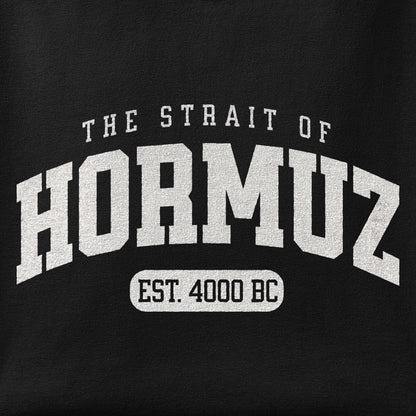 Close-up of the Strait of Hormuz Est. 4000 BC print showing ink detail on the fabric
